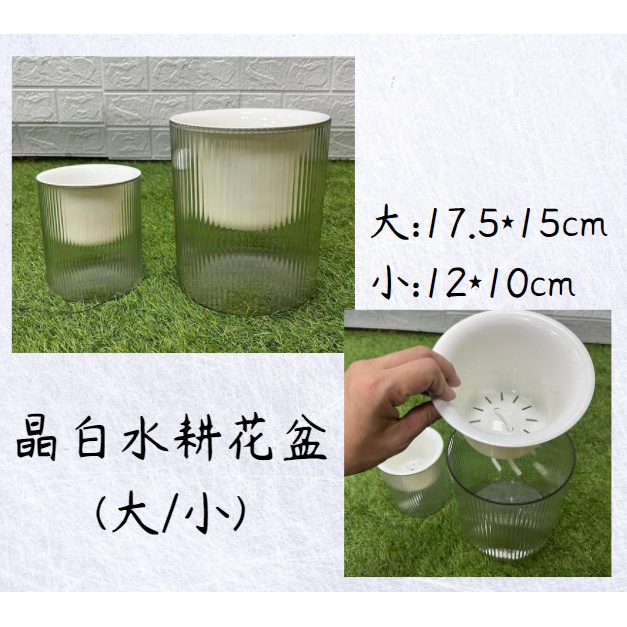 育材 開心田園樂 園藝工具晶白水耕花盆透明花盆現貨透明花器水培花盆多肉小花盆排水植物花器 蝦皮購物