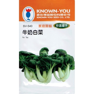 種子王國 牛奶白菜 Pai Tsai (sv-540) 奶油白菜 【蔬菜種子】農友種苗特選種子 每包約3公克