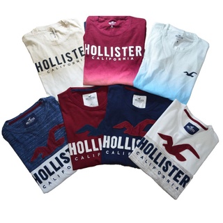 Hollister Co HCO. 當季最新現貨 男 海鷗 短袖 T恤 Hco. 英國 短T T-SHIRT