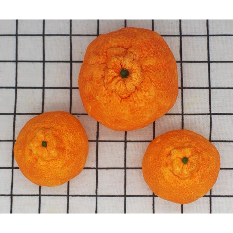 醜橘子🍊矽膠膜 皂膜 蠟燭 石膏