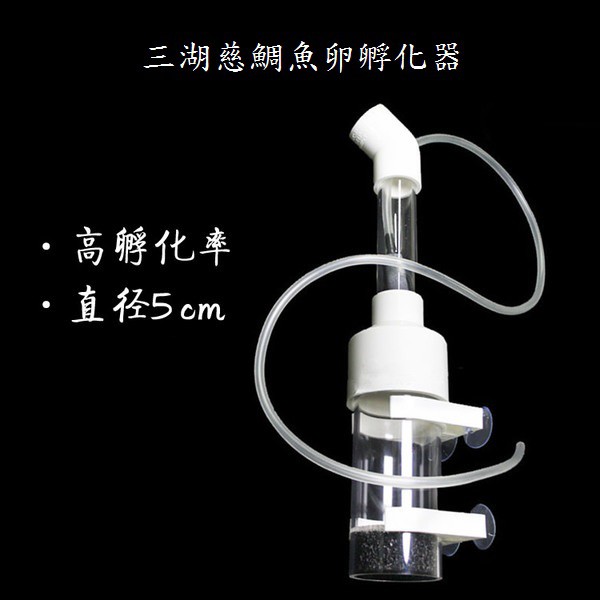 出清三湖慈鯛魚卵孵化器螯蝦異形大帆鬍子魚卵化器孵蛋器 蝦皮購物