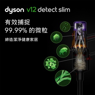 ＊錦達＊【送副廠立架+10%蝦幣Dyson V12 SV20 Detect Slim Fluffy輕量智能無線吸塵器】 #4