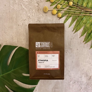 TRIBO COFFEE - 精品咖啡豆 │ 衣索比亞 西達摩│水洗 淺焙 (半磅)