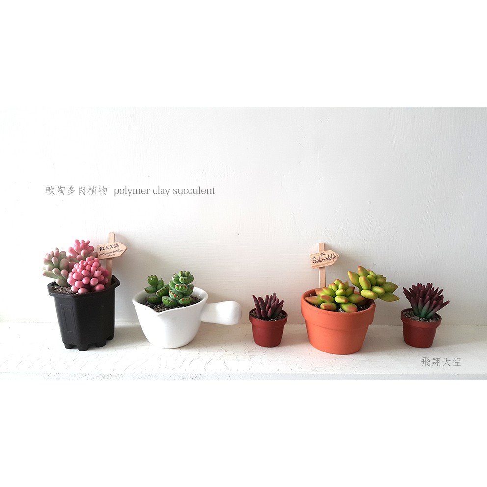飛翔天空 多肉植物軟陶diy材料包 蝦皮購物