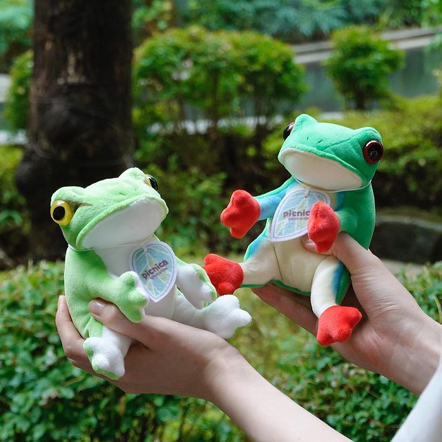 【現貨🌷】 picnica 青蛙 玩偶 雨蛙 娃娃 角蛙 樹蛙 黑斑蛙 日本進口 療癒 交換禮物