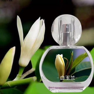 白蘭花 優惠推薦 21年11月 蝦皮購物台灣