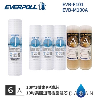 【EVERPOLL】EVB-F101 M100A 1MPP 美國道爾樹脂 濾芯 濾心 標準 6入 大山淨水