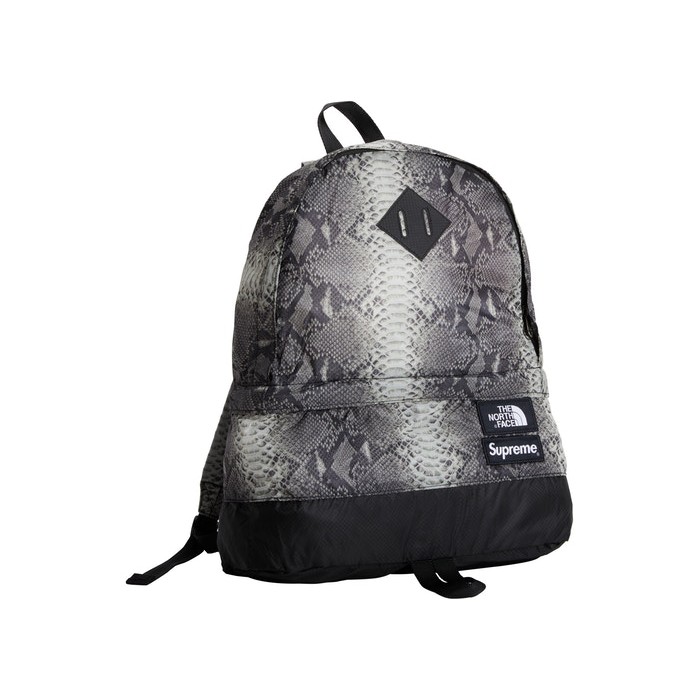 the north face snakeskin