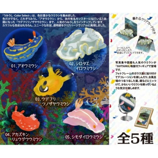 正版 F-toys海蛞蝓 海兔 海牛 海底生物 盒玩