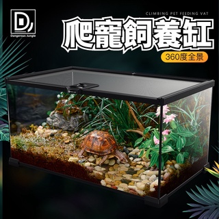 爬蟲類飼養箱 蜥蜴飼養箱 飼養缸 爬寵飼養缸 玻璃 爬蟲 角蛙 飼養箱 陸龜 蜥蜴 蛇 守宮 爬寵 爬箱 寵物 鬃獅龜箱