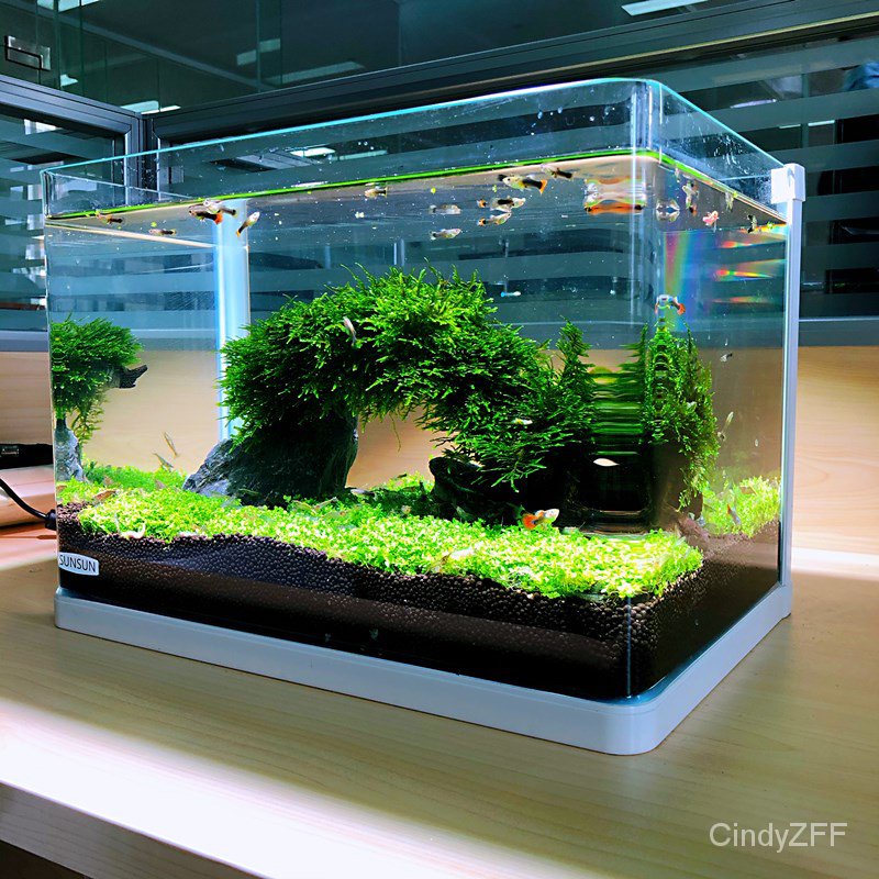 寵物好貨 熱彎魚缸免換水懶人生態魚缸小型水族箱超白玻璃金魚缸水草缸現貨速發 蝦皮購物