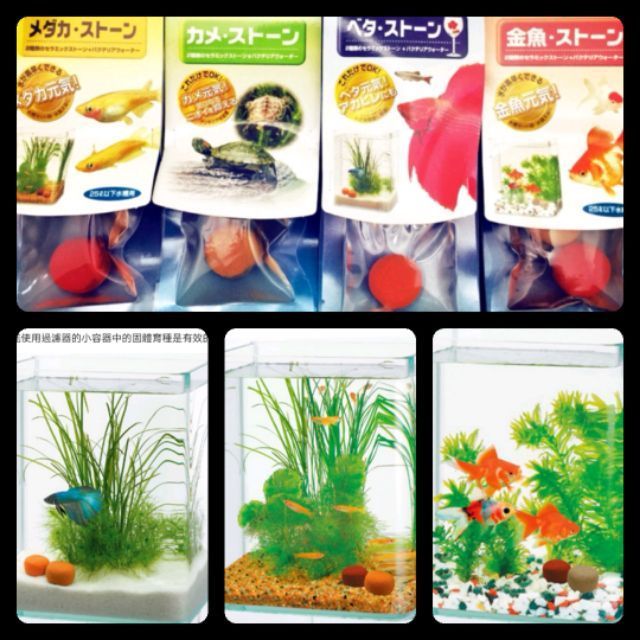 彩虹騎士 日本suisaku水作超神奇淨水石 鬥魚 烏龜 金魚 小型魚 烏龜 金魚 魚缸 沸石 硝化菌 培菌石 蝦皮購物