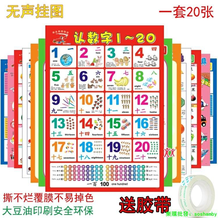 認識掛圖英語漢字貼紙教具孩子數字小學生小發音嬰幼兒無聲學習墻 樂購批發 蝦皮購物