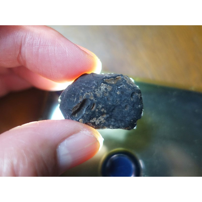 §能量礦石§ 亞利桑那隕石Saffordite Arizona天狼星隕石 重10.38g