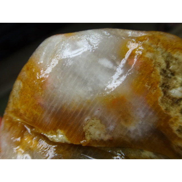 《藍金寶石玉石批發區》→〈原石系列〉→海洗滑面明顯菊花珊瑚玉髓原礦〈950公克→AB2061C