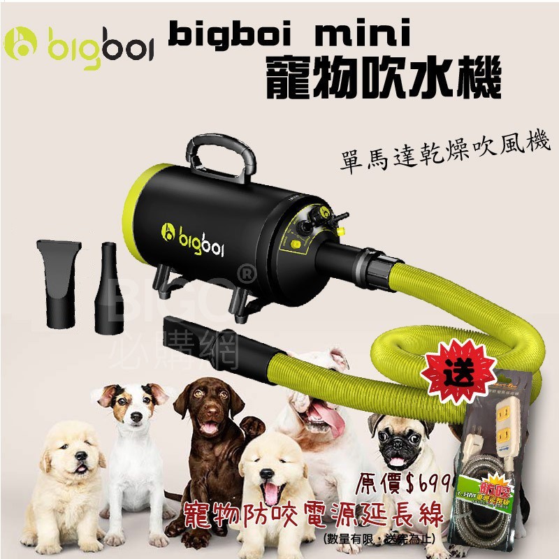 📢現貨 bigboi MINI 寵物單馬達吹風機 不鏽鋼 三孔 寵物吹水 吹風機 汽機車 家用 寵物美容