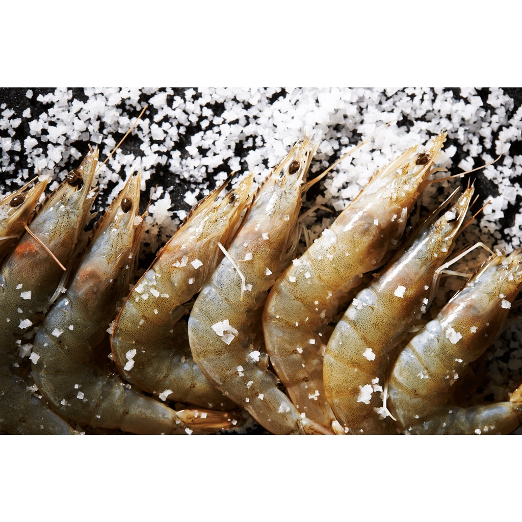 ◆黑潮水產◆ 活凍生白蝦21/25 (600g/盒) 白蝦 蝦子