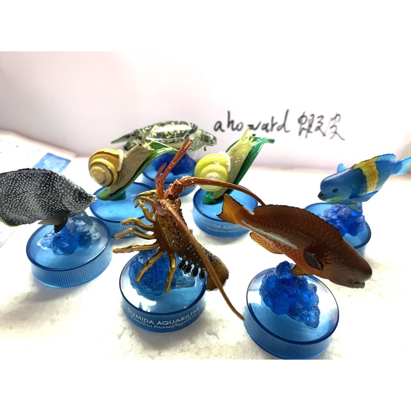 海洋堂魚轉蛋的價格推薦 22年7月 比價比個夠biggo