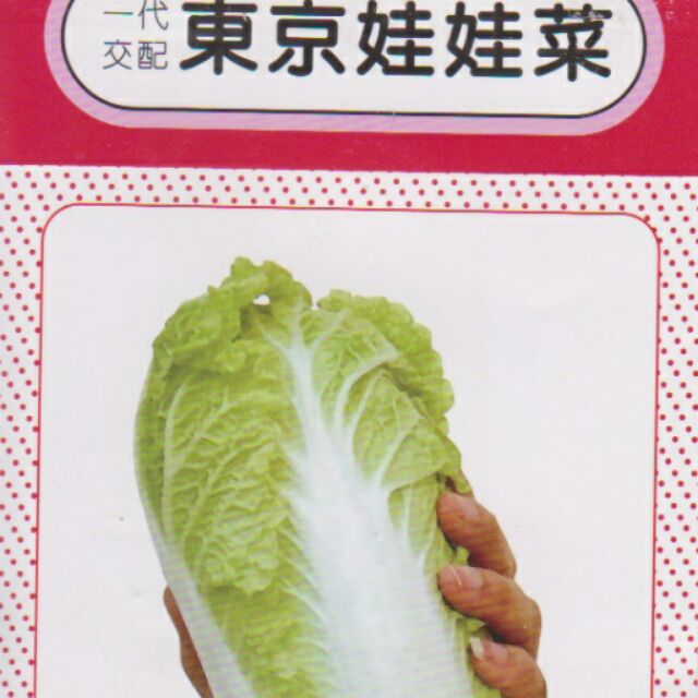 愛上種子 東京娃娃菜【蔬果種子】分包裝種子 約45粒/包 (夾鍊袋分裝包)