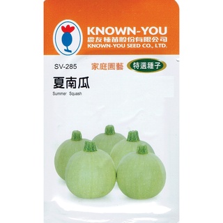 種子王國 夏南瓜Summer Squash (sv-285) 白綠球狀 【蔬果種子】農友種苗特選種子 每包約10粒