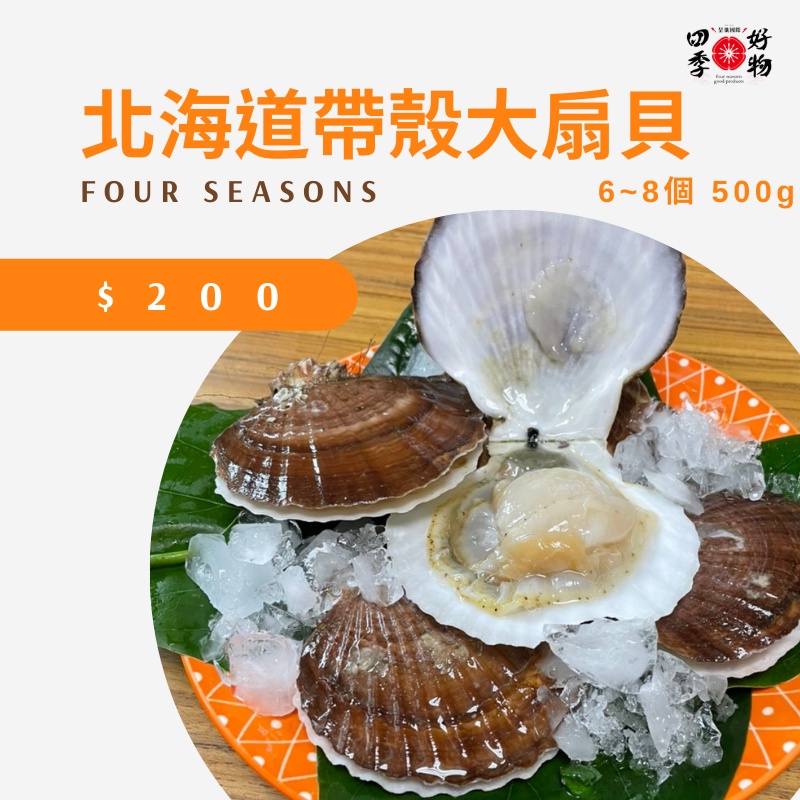 【四季好物】北海道帶殼大扇貝 6~8個 500g