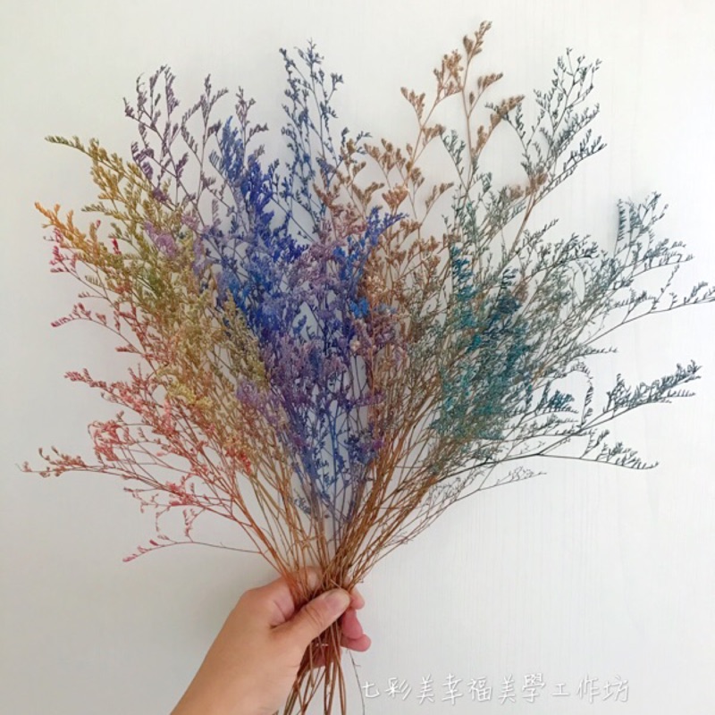 卡斯比亞 乾燥花 乾燥花材料 乾燥花零售 乾燥花diy 蝦皮購物