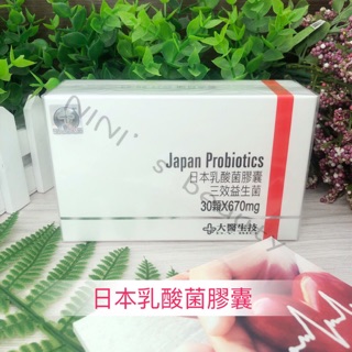 【NINI】大醫生技 日本乳酸菌膠囊 670mg 30顆/盒 益生菌