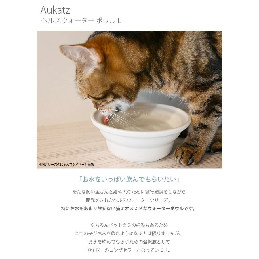 日本製瀨戶燒aukatz 多喝水碗食碗寵物碗貓碗魔法神器 蝦皮購物