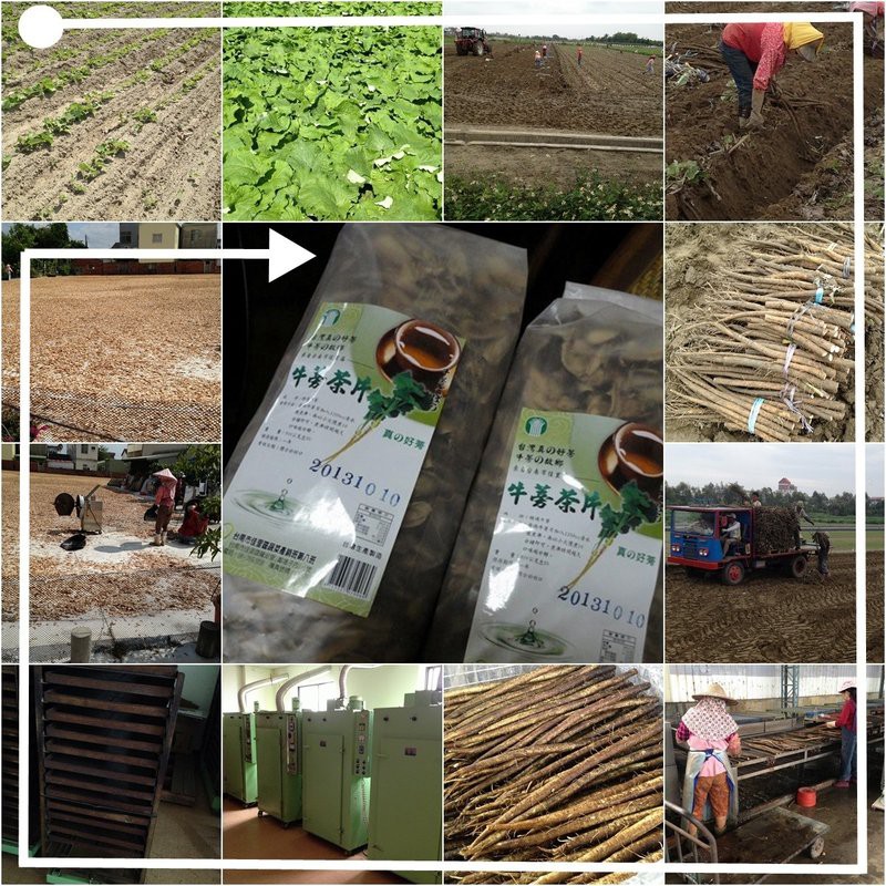 牛蒡片 優惠推薦 21年9月 蝦皮購物台灣