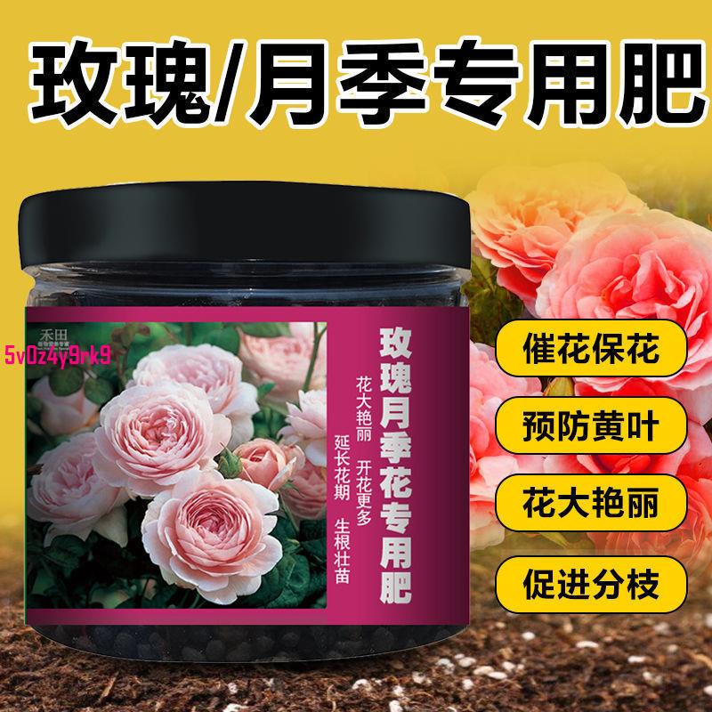 月季花玫瑰花專用肥薔薇盆栽通用型顆粒緩釋肥催花有機肥料 蝦皮購物