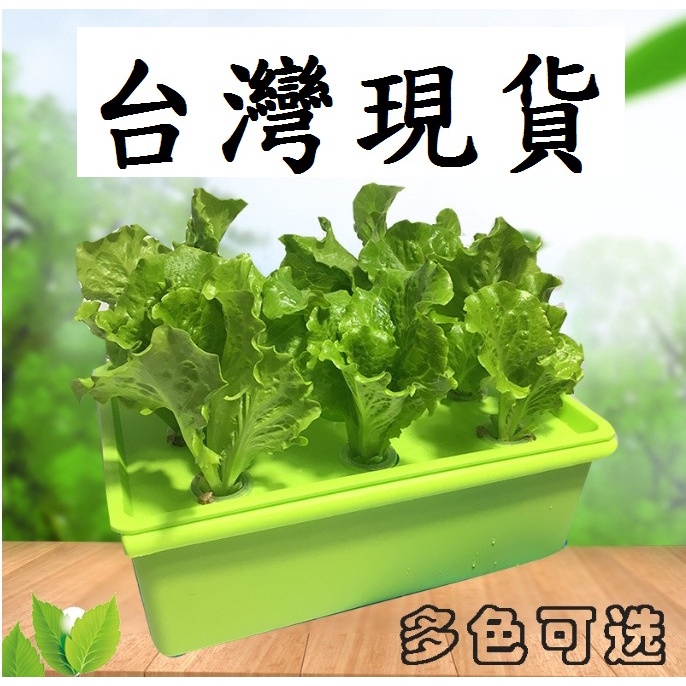 水耕蔬菜水耕植物無土栽培栽培箱培養箱 蝦皮購物
