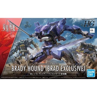好棒棒模型屋 BANDAI HG 1/72 境界戰機 08 佈雷迪獵犬 (布萊德座機)