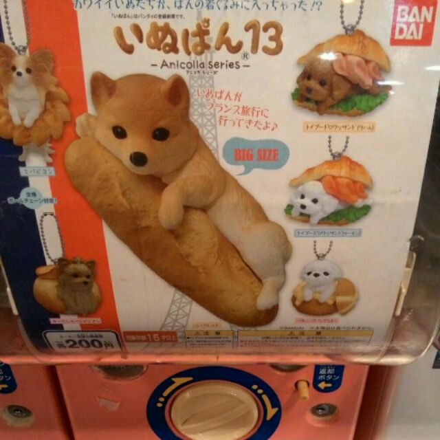 ベンチ割り当て徹底的に夏犬旅行 Jirapong Org