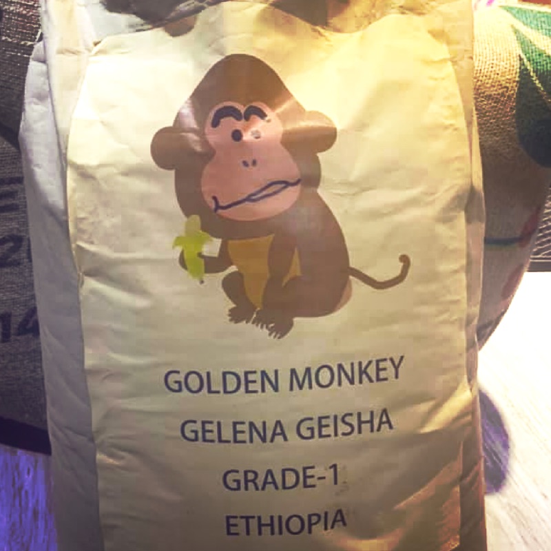 印象九份～2021 衣索比亞 日規金猴藝伎 古吉 金雷那 森林原生種Geisha
