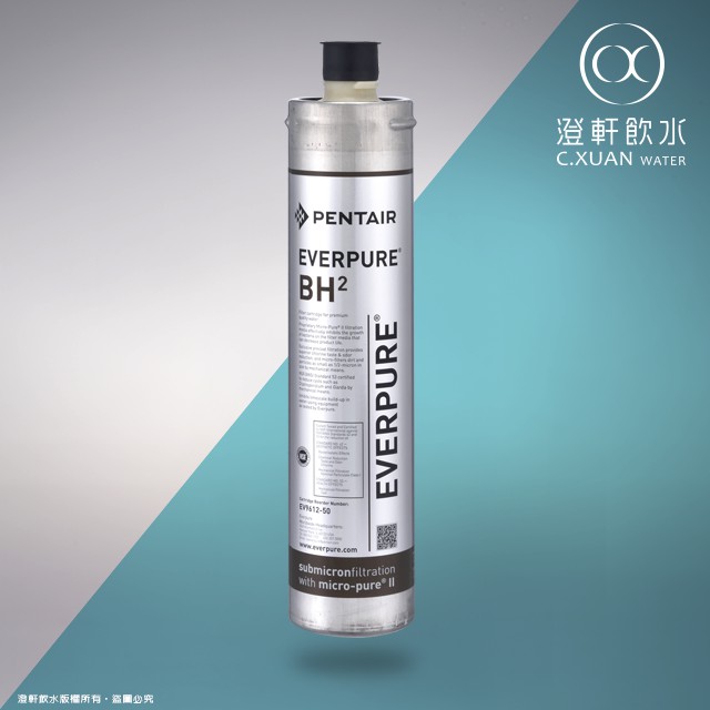 【澄軒飲水】美國EVERPURE BH2 濾心~【平行輸入/雷標公司貨】