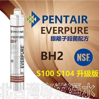 BH BH2 濾心 EVERPURE 抑制水垢銀離子殺菌配方 HS288 雙溫加熱器濾心