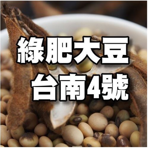 【小農夫國產豆類】 台灣種種植用 /綠肥大豆-臺南４號種子(30公斤=50斤)/休耕用大豆/青皮豆/抑制雜草/非基改黃豆