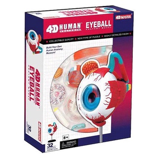 4D MASTER Human模型/ 眼球/ 626006 eslite誠品