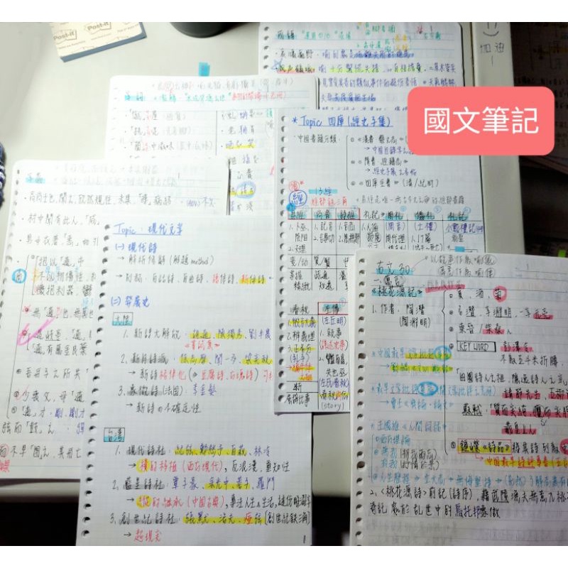 高中學測 指考 國文滿級分筆記111學測必考重點精華 學測國文筆記 蝦皮購物