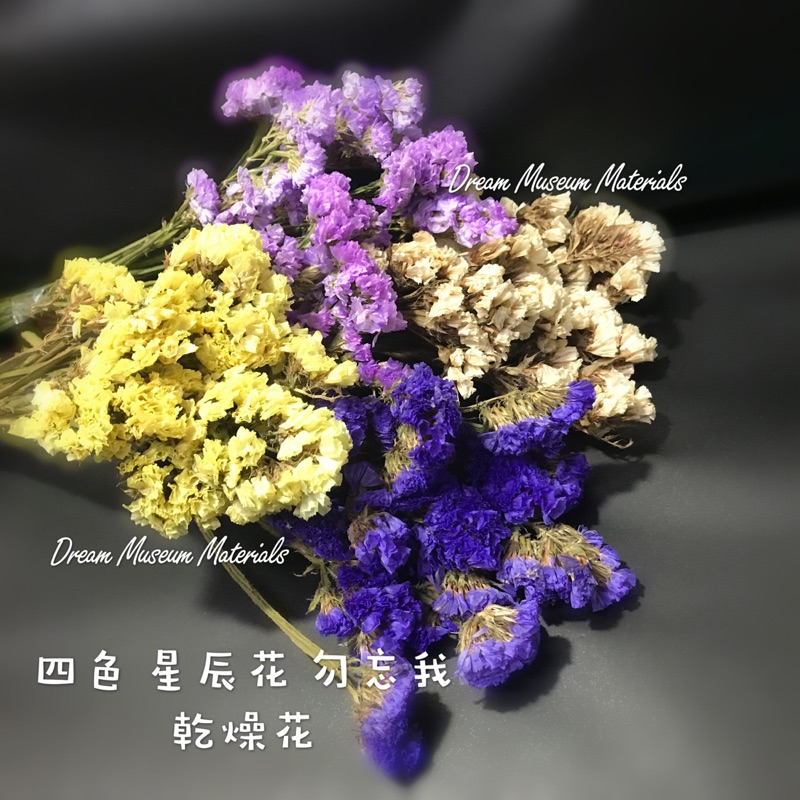 四色星辰花乾燥花花材勿忘我乾燥花花束花材批發夢的材料館 蝦皮購物