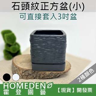 【臺灣現貨】石頭紋正方盆(小) 花盆 花器 多肉植物花盆 陶瓷花盆 【HOMEDEN霍登園藝】