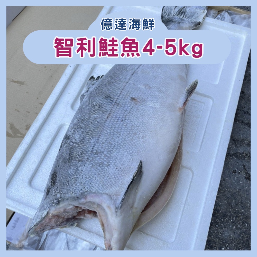 【億達海鮮】整尾鮭魚/智利鮭魚/銀鮭 4-5kg/尾