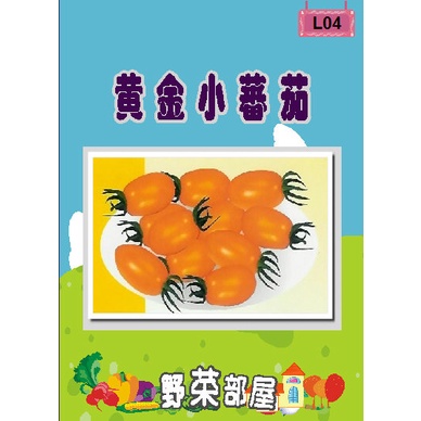 【野菜部屋~】L04 日本黃金小蕃茄種子5粒 , 金玉品種 , 收成量高 , 每包16元~