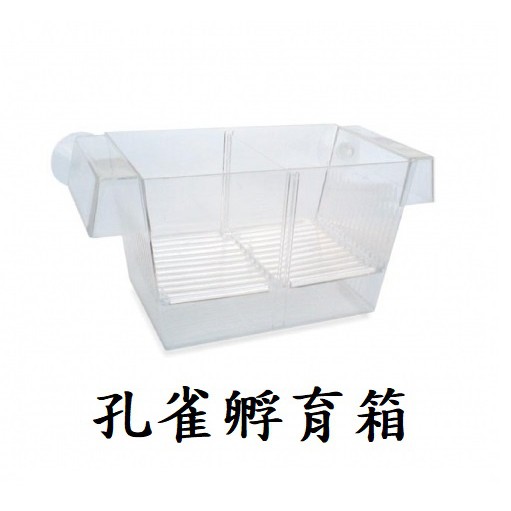 [魚樂福水族]日生 孔雀孵育箱 隔離盒 自浮式 產卵盒 免吸盤 繁殖盒 生小魚 母魚懷孕  E-C2002