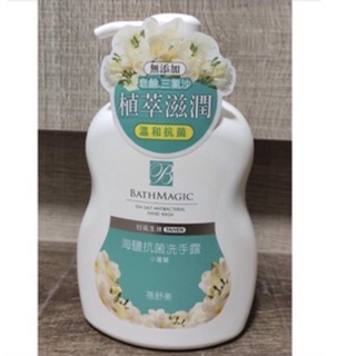 臺塩生技-海鹽抗菌洗手露500ml(小蒼蘭）