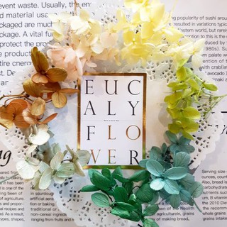 Eucaly Flower 尤加利手作乾燥花屋 線上商店 蝦皮購物