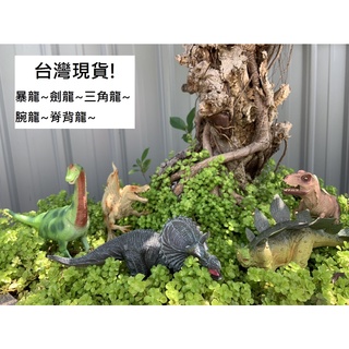 【玩具兄妹】現貨! 模擬恐龍動物包 侏儸紀恐龍 暴龍 脊背龍 三角龍 劍龍 腕龍 5入套裝 模擬恐龍模型 硬質塑膠恐龍