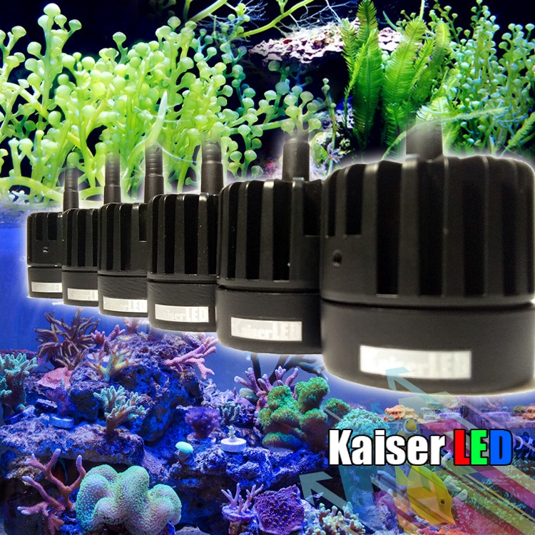 Kaiser Led 海水珊瑚補光燈ats植物夾燈機械臂神燈專業藻缸燈藻燈海水缸珊瑚缸凱撒lps Sps 蝦皮購物