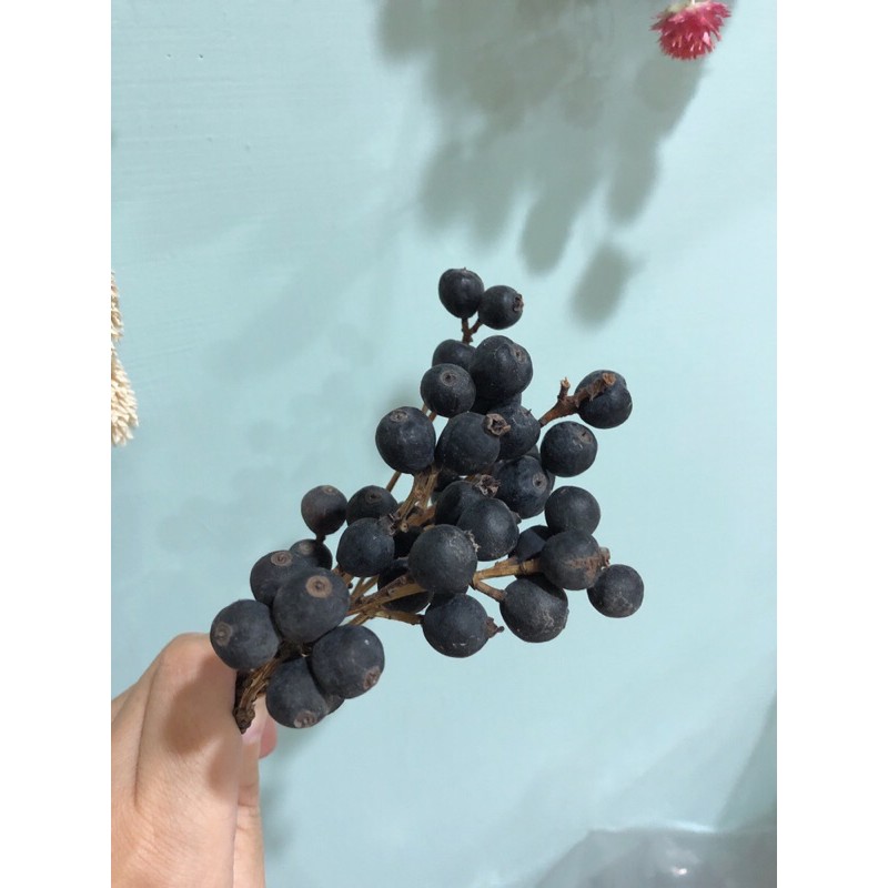 黑莓果 藍莓果 厚葉石斑木 果實 聖誕節 聖誕花圈 花圈必備