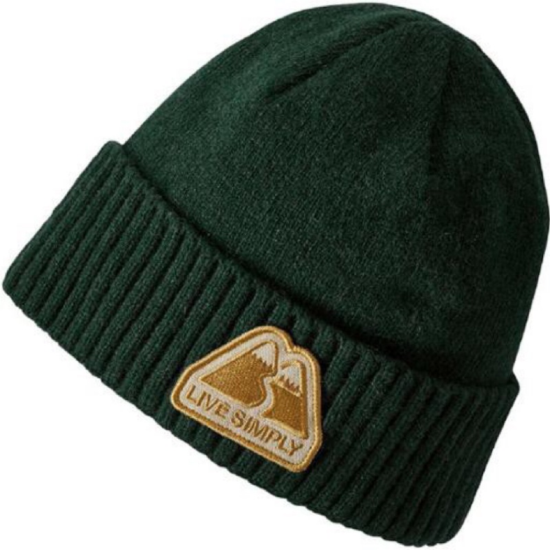 現貨! Patagonia Brodeo 針織 帽子 毛帽 綠色
